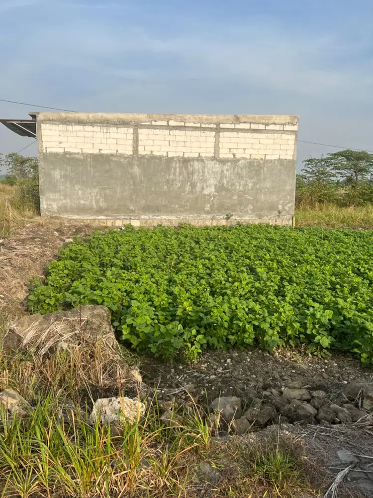 DIJUAL TANAH KAVLING