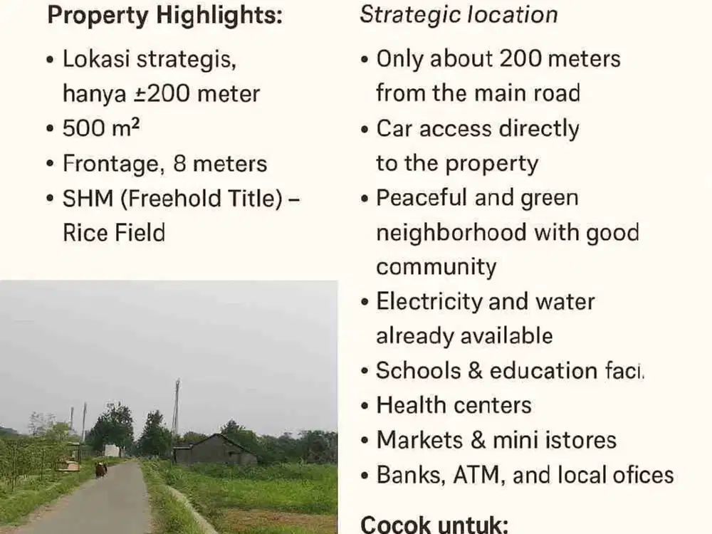 Dijual Tanah sawah 500m di manisrenggo Klaten