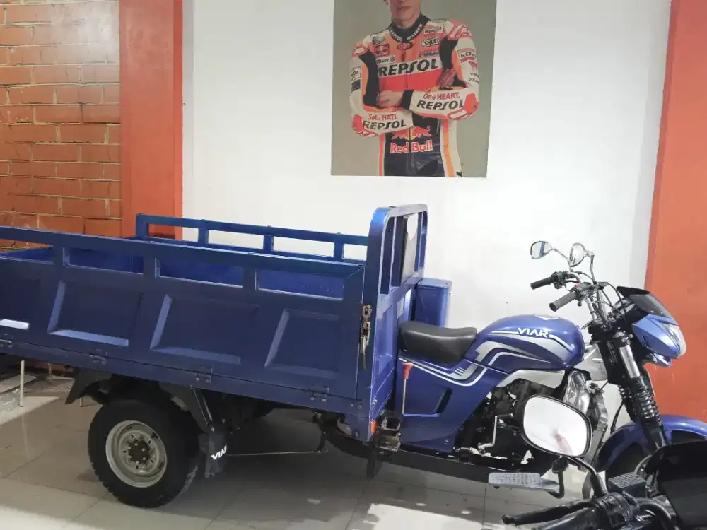 Viar karya 300 cc LONG DOUBLE POWER 2024 FULL ORISINIL GRESS