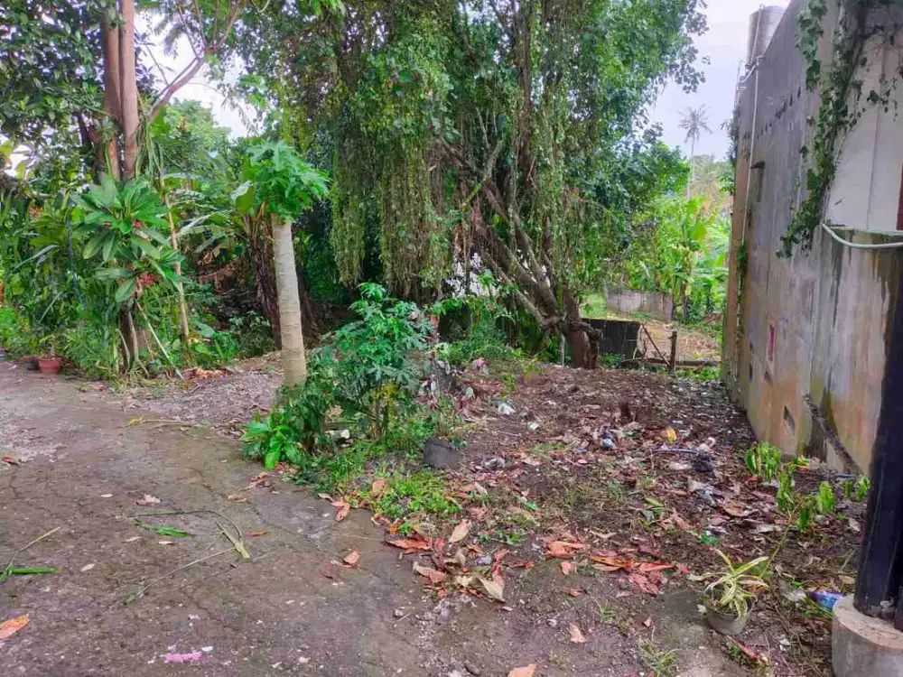 Tanah 2 are Los Sungai di Cepaka Munggu