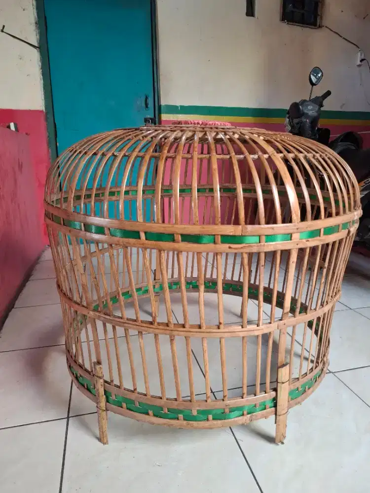 Kandang ayam kurungan ayam