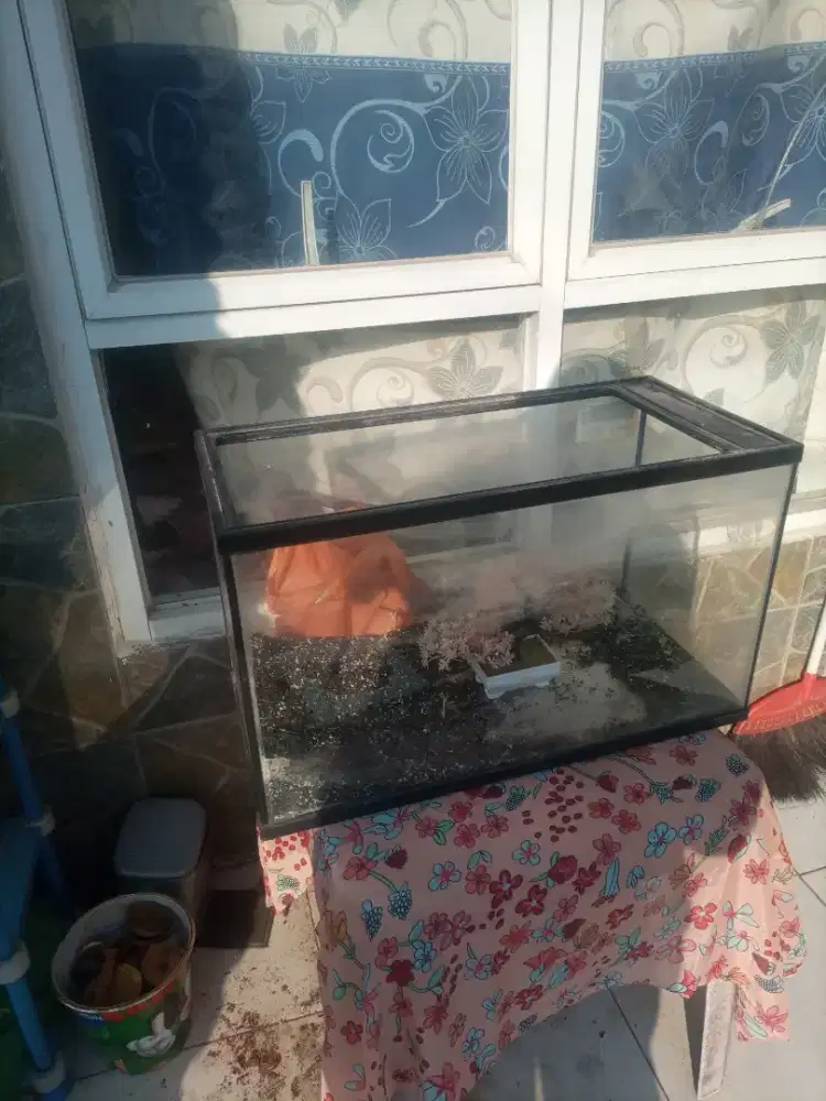 Edisi pindah rumah