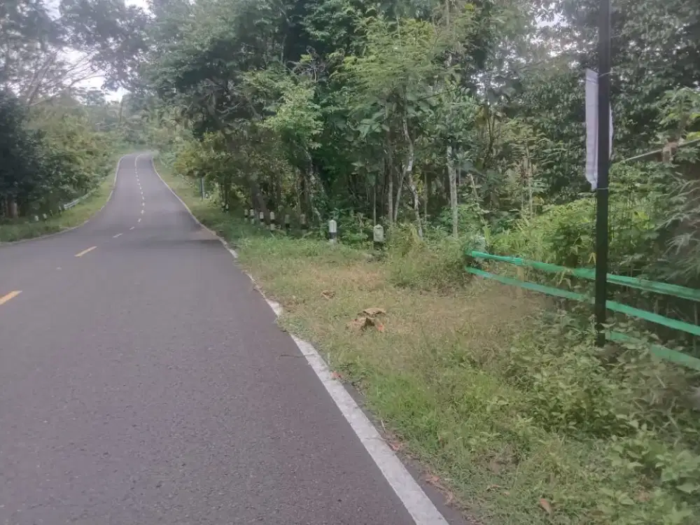 BU - Dijual Cepat Tanah Pekarangan JJLS