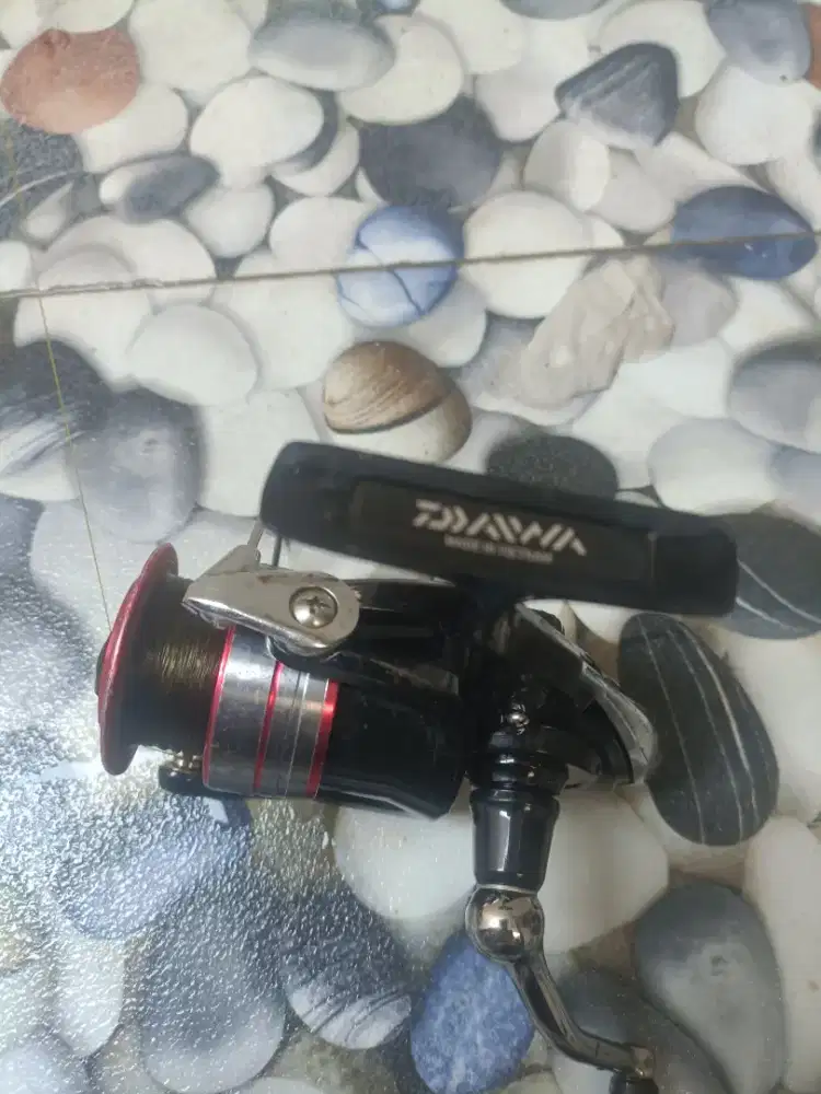 Reel Daiwa MGS rawatan