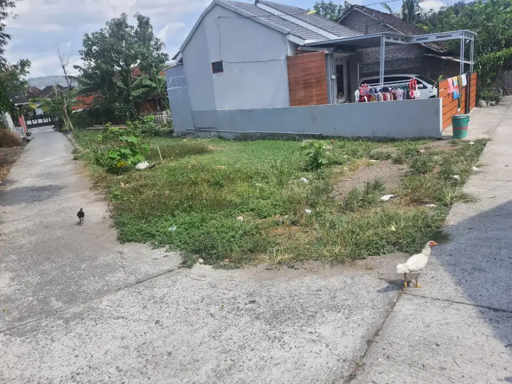 Tanah Kavling SHM murah