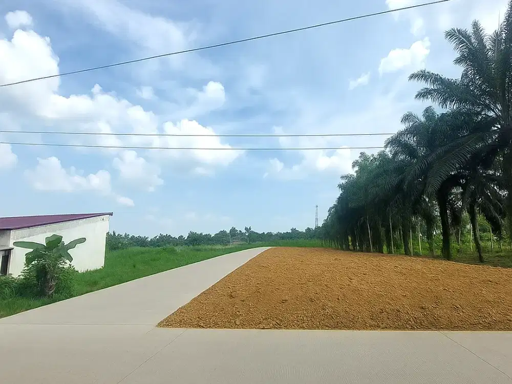 Kavling SHM Tepi Jalan Talang Jambe