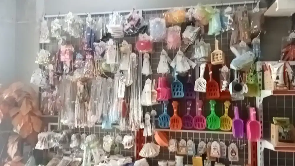 Penitipan hewan, groming, pacak, perlengkapan