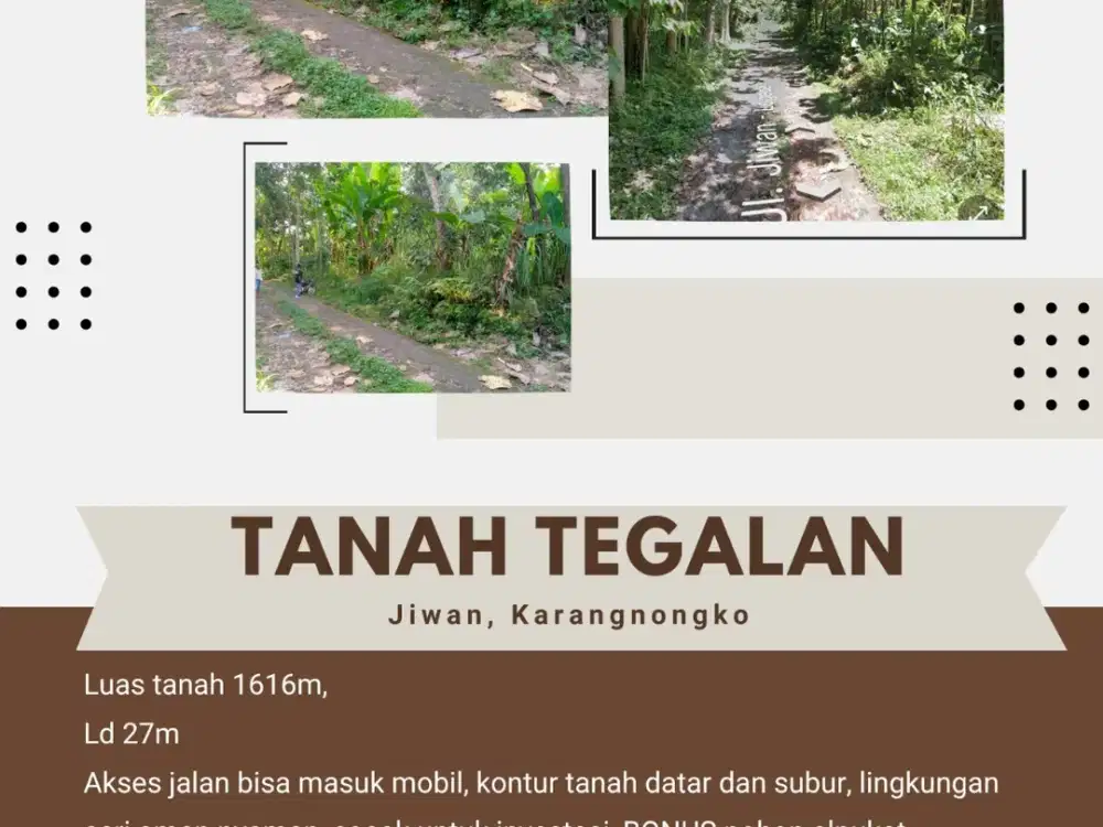 TANAH TEGALAN JIWAN, KARANGNONGKO BONUS POHON ALPUKAT