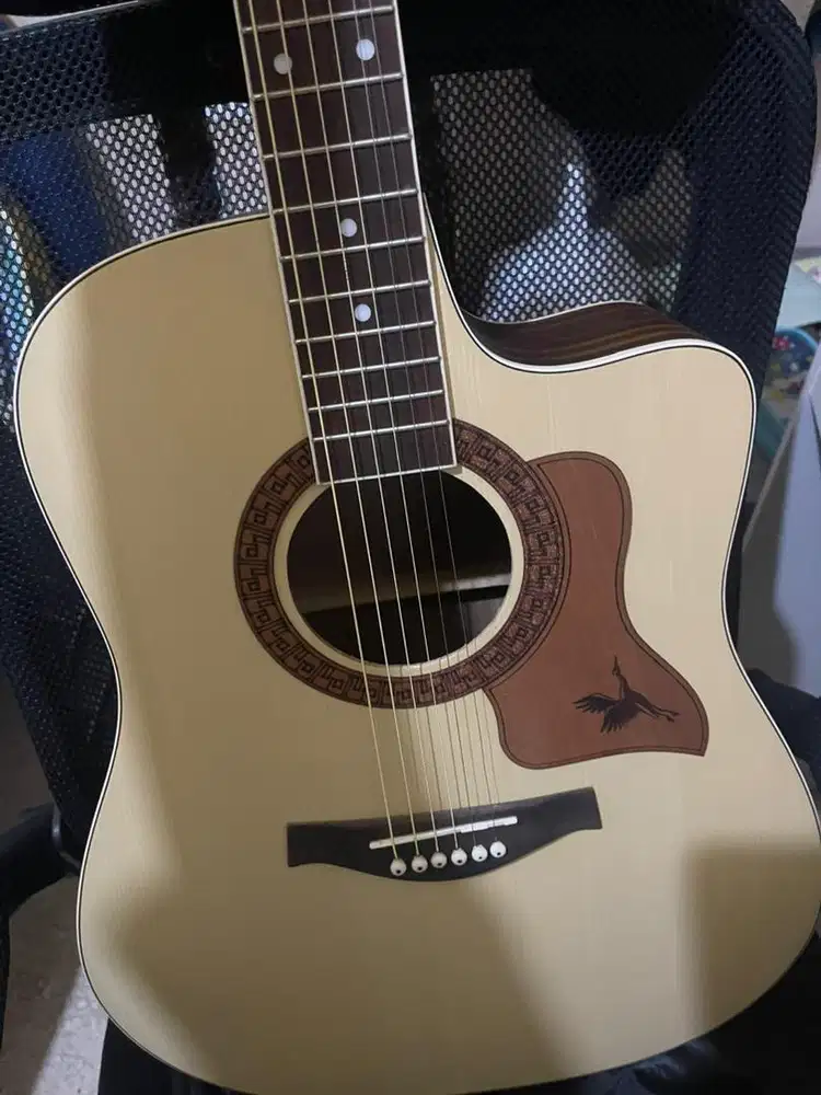 Gitar akustik-elektrik premium
