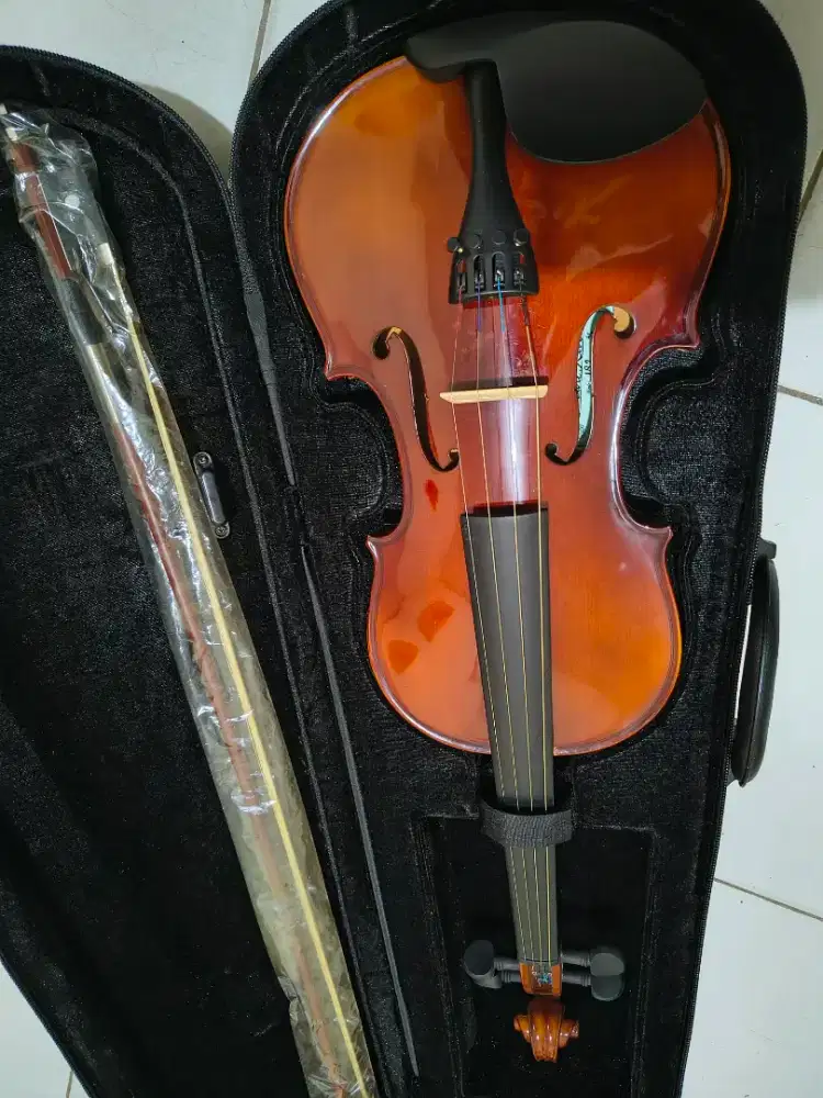 Biola Pearl River V182 4/4 - New