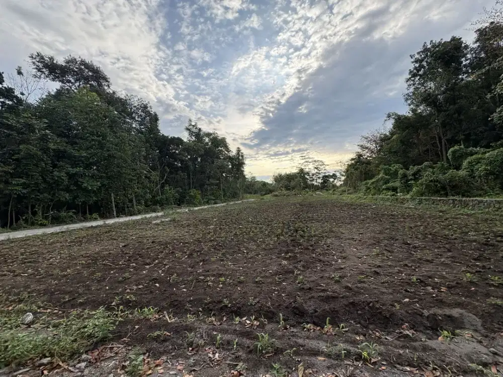 950 meter kampus UII; Tanah Murah Siap Bangun; SHM