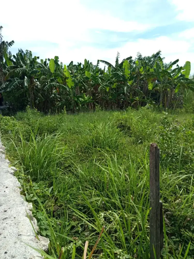 Dijual cepat tanah luas 357m²