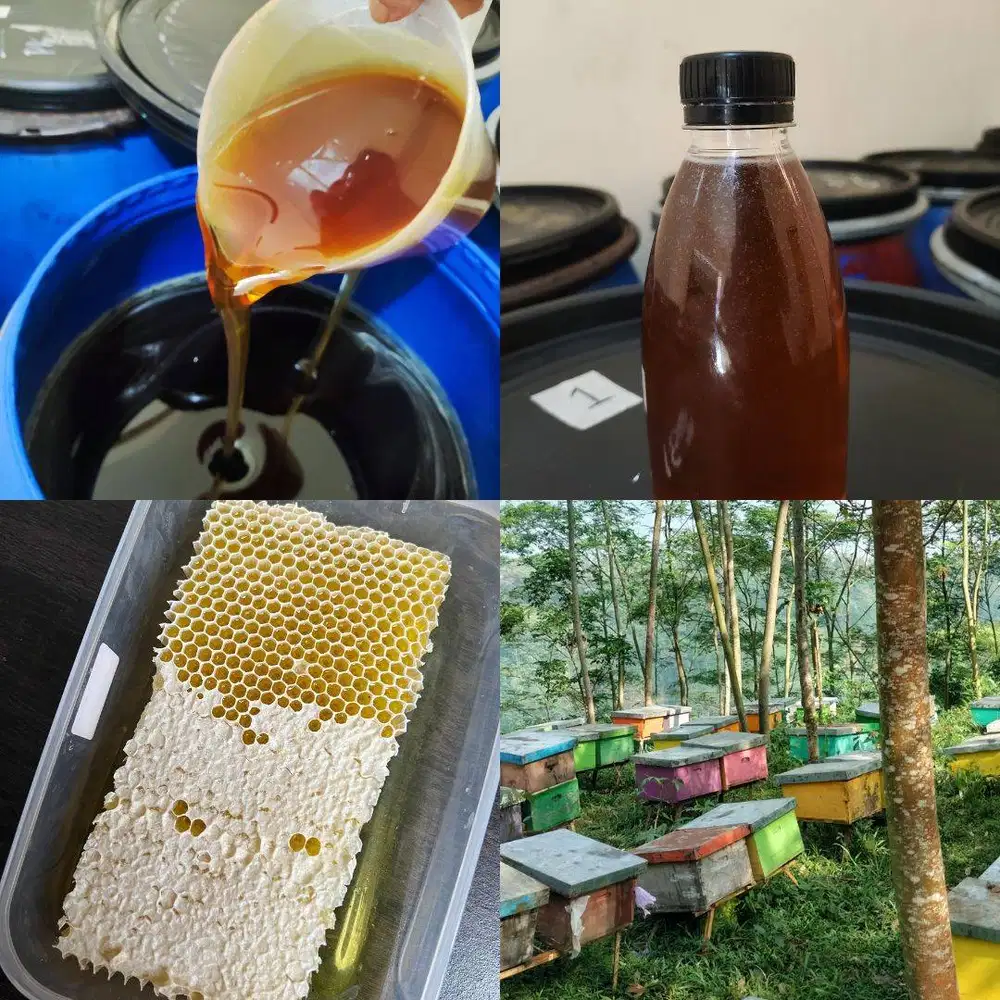 AGEN JUAL MADU BANGKALAN ASLI MURNI, Grosir Murah