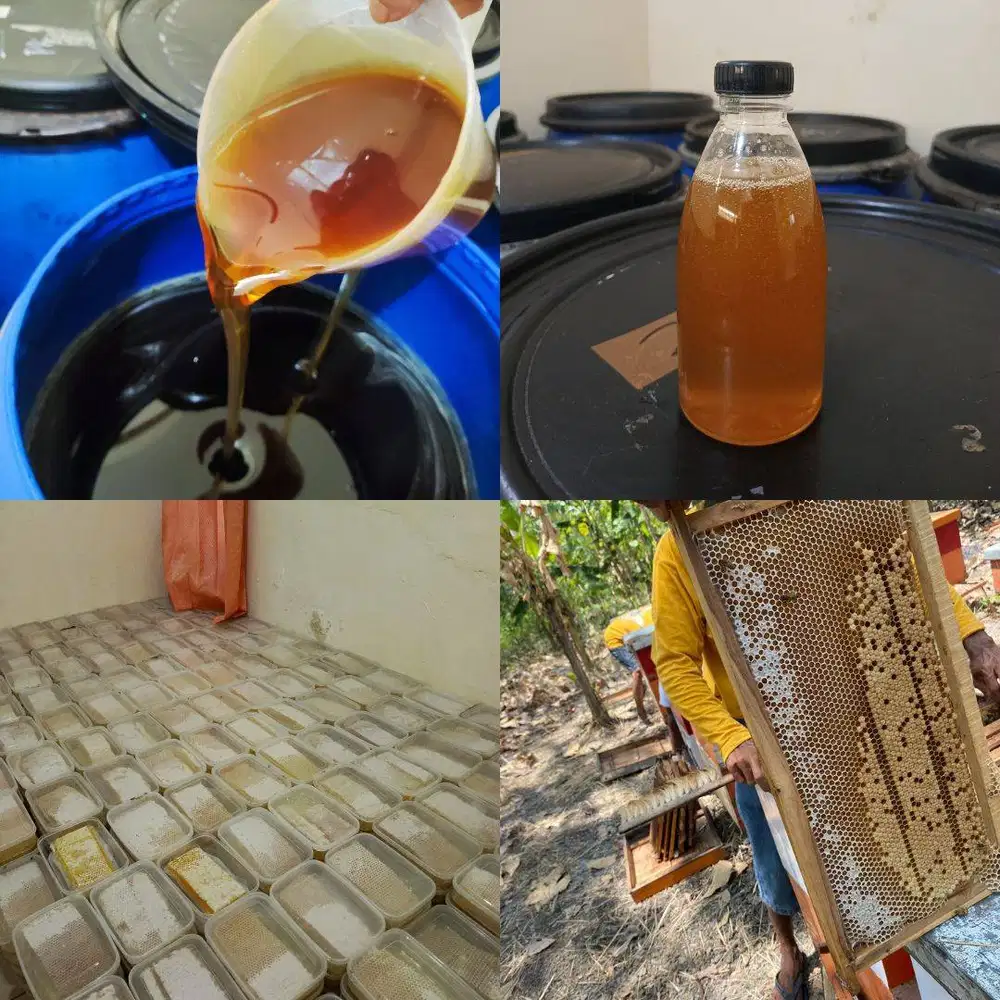AGEN JUAL MADU PAMEKASAN ASLI MURNI, Grosir Murah