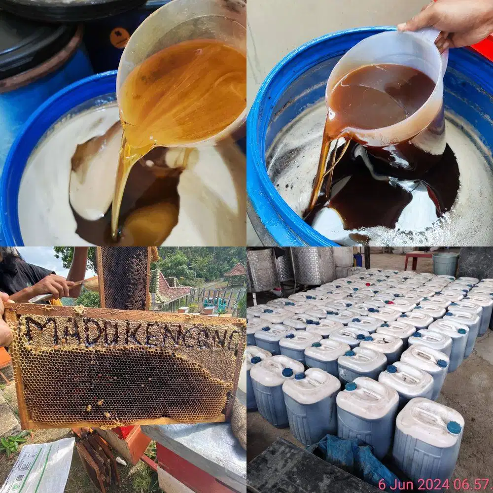 AGEN JUAL MADU NGAWI ASLI MURNI, Grosir Murah