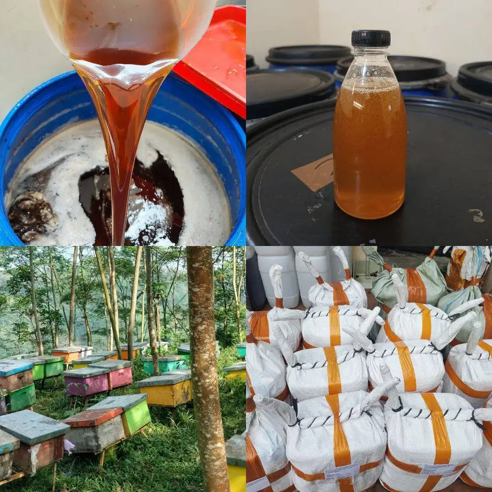 AGEN JUAL MADU MADIUN ASLI MURNI, Grosir Murah