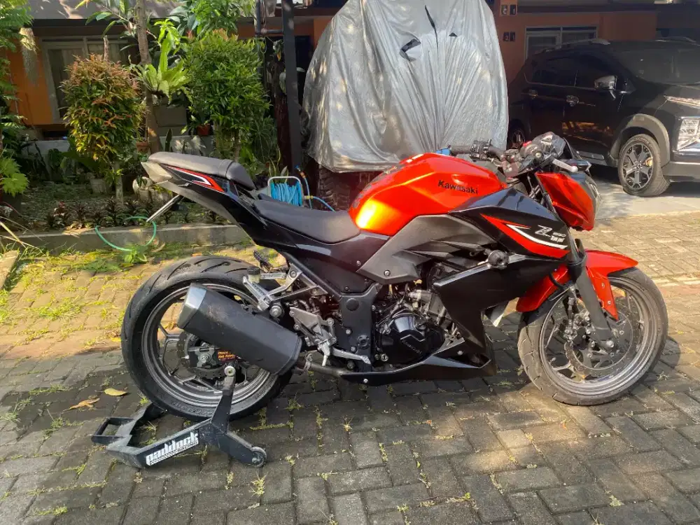 Kawasaki Z250 Tahun 2017