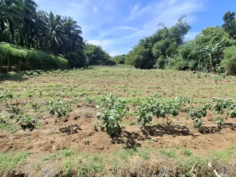 DIJUAL TANAH LUAS 6483 M2
