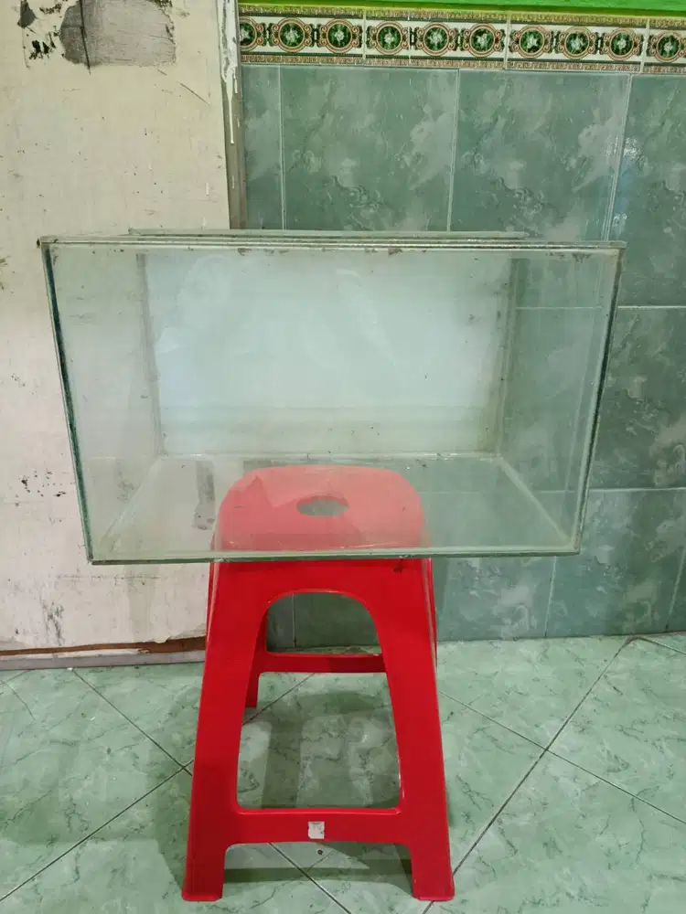 Aquarium (50 cm)
