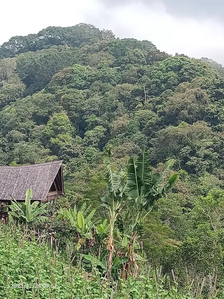 Tanah di Bedugul Bali dekat danau view jungle dan lembah