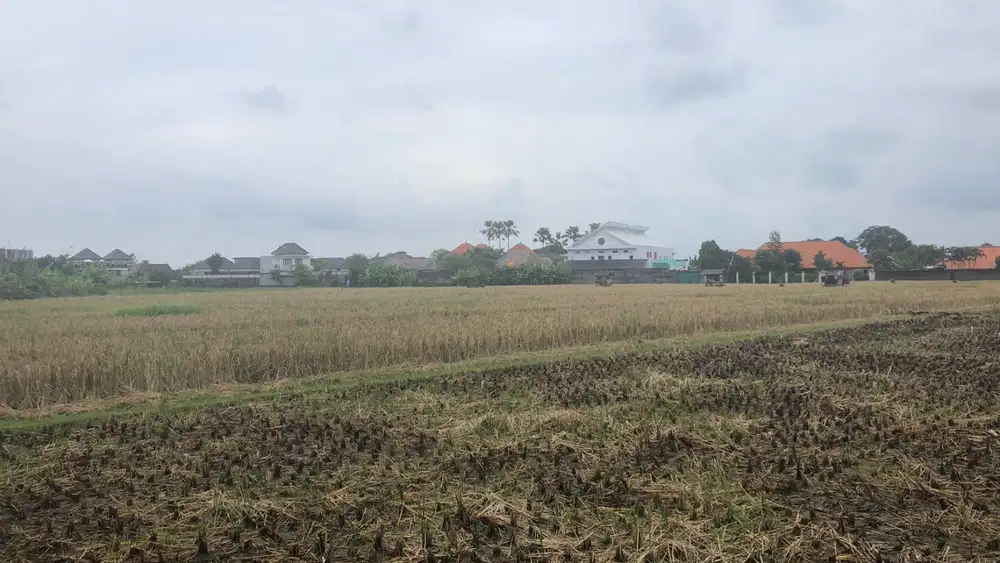 Land Freehold in Great Location Batu Beliq