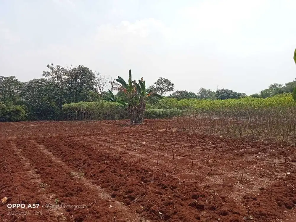 Dijual Tanah di Tajurhalang, Bogor Cocok Utk Perumahan, Gudang, dll
