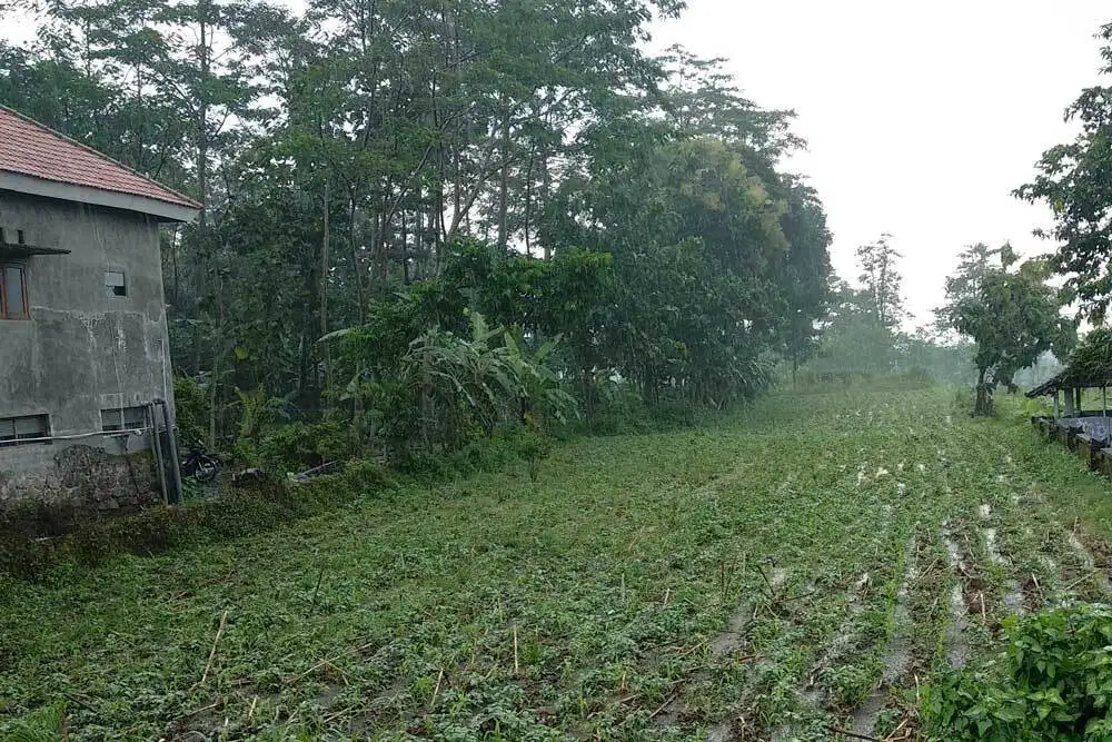 Dijual Tanah Trawas Cocok untuk Development
