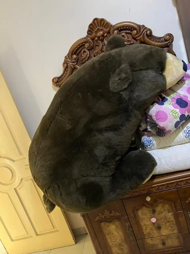 Boneka bear / beruang spring air skala 1 : 1