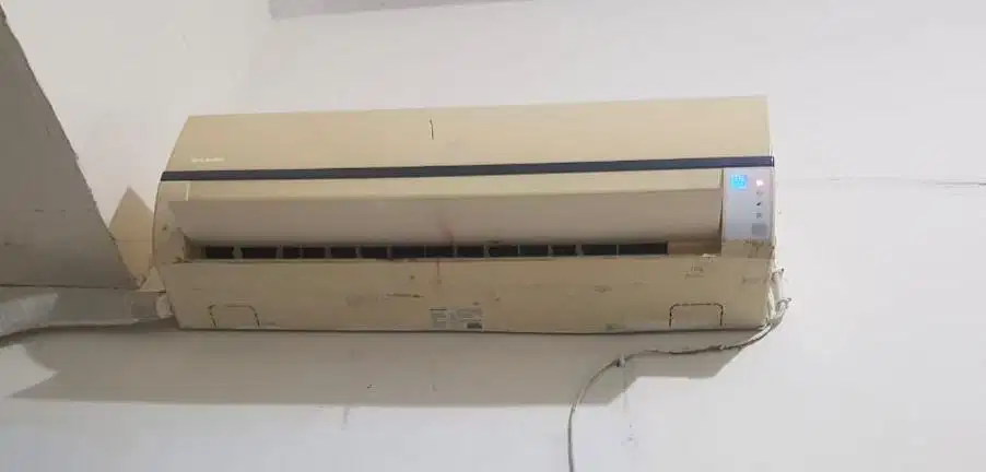 AC Sharp 1/2 pk
