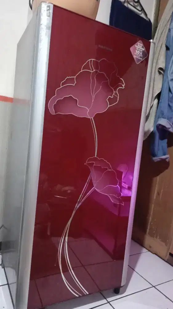 Kulkas 1 pintu polytron