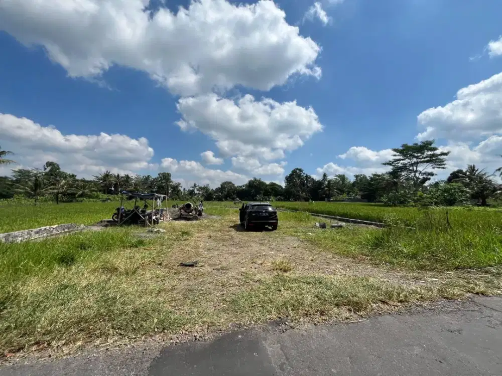 Tepi Aspal Jl Pandanaran UII Dekat Kaliurang KM 14