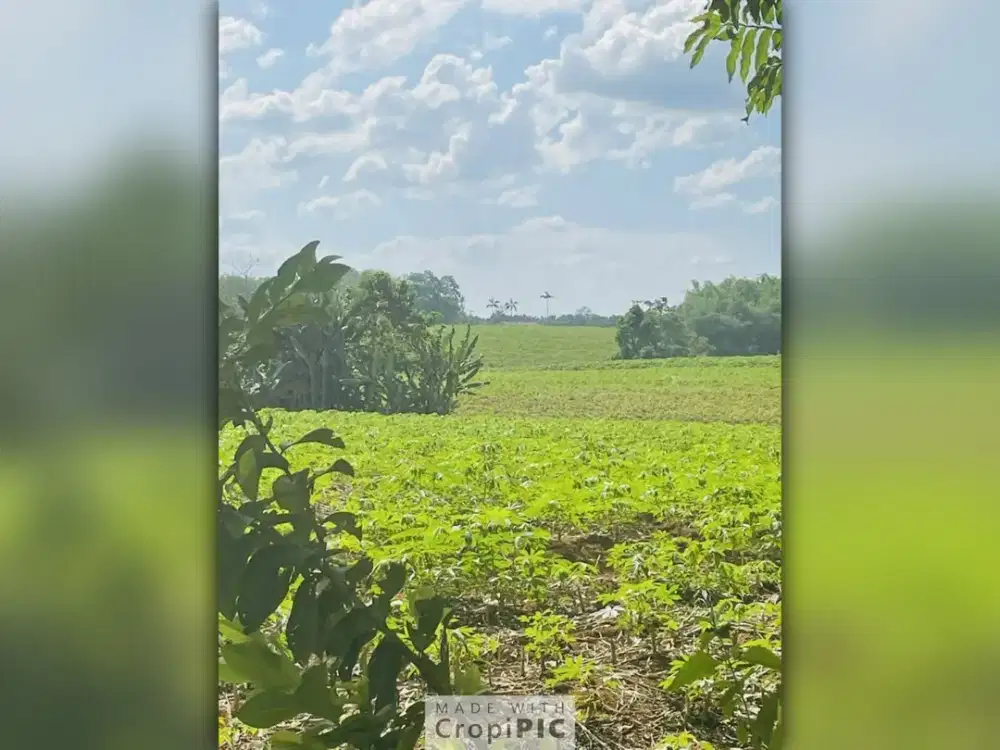 Dijual Tanah di Sumber Arum KotaBumi, Lampung Utara