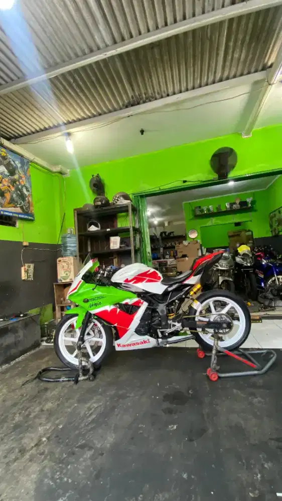 Ninja 250SL / Mono