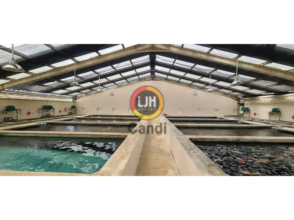 Kolam Ikan di Sumur Harjo Gunung Pati Semarang