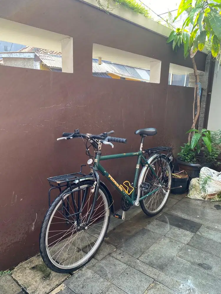 SEPEDA FEDERAL STREET CAT MG-33SX