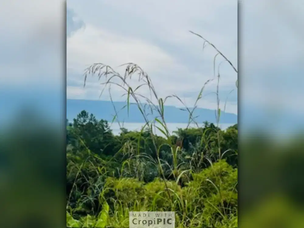 Dijual Tanah di Ajibata Toba, Sumatra Utara