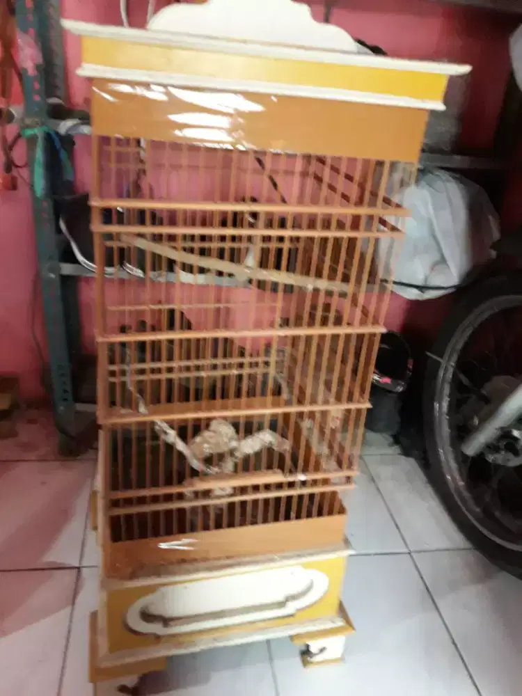 sangkar sekend buat branjangan pakling dll