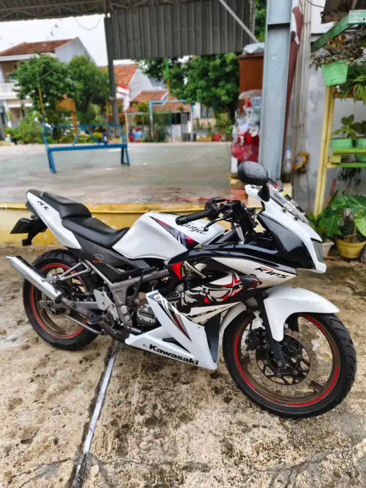 Ninja rr new SE 2013