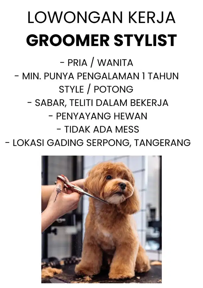 Loker Groomer Stylist