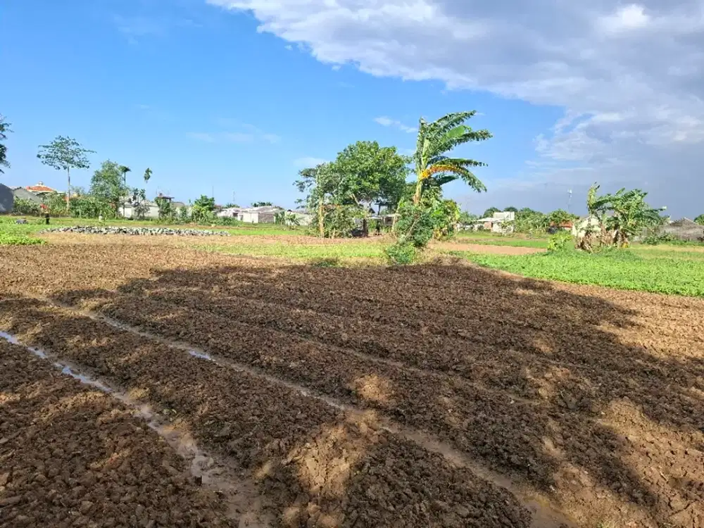 Dijual tanah di babelan bekasi