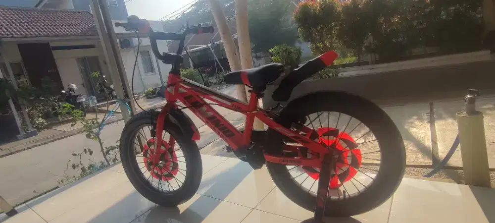 Sepeda gunung anak laki-laki 5 th