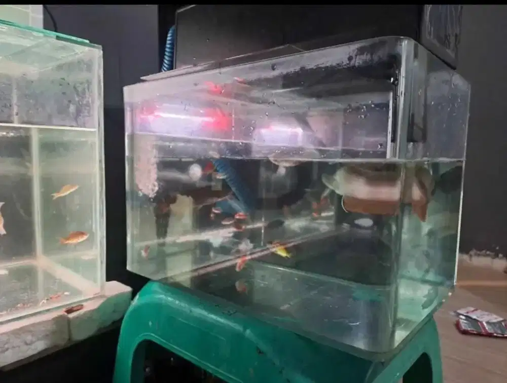 Aquarium bending