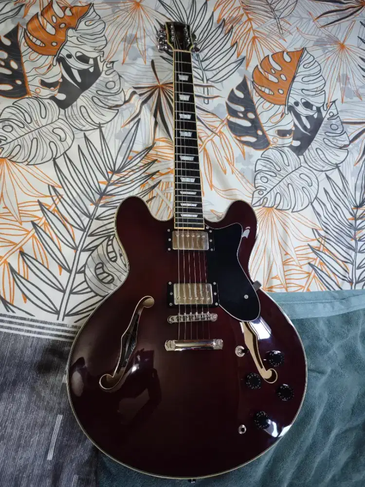 Donner DJP 1000R
Cherry Semi Hollow