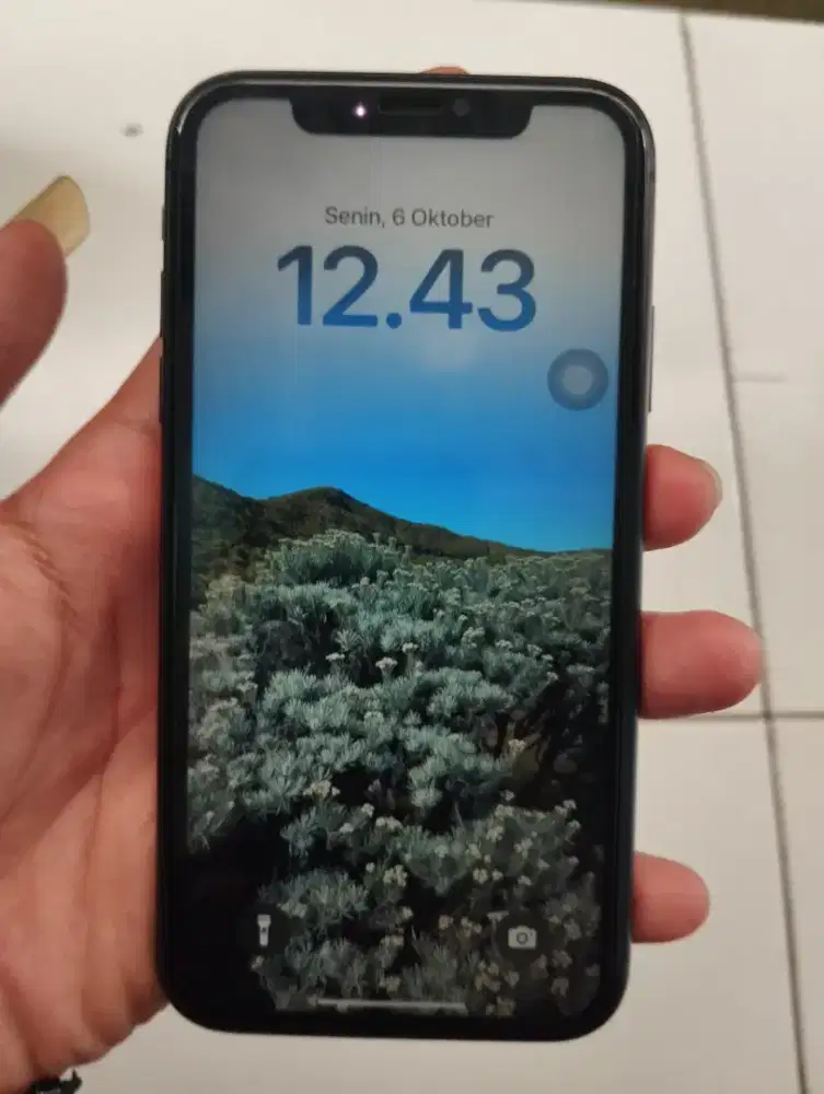 iPhone 11 64GB iBox