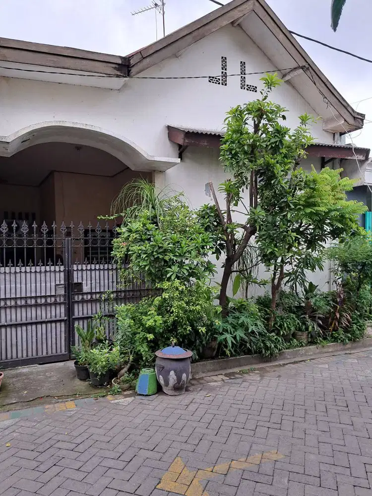BU POLL, RUMAH SIWALANKERTO TENGAH, MURAH