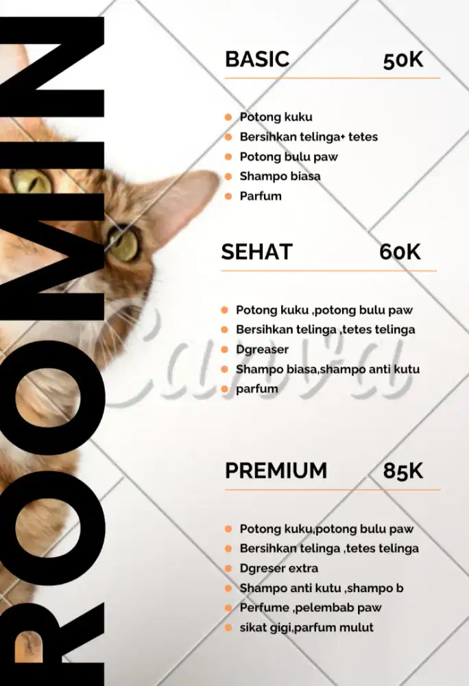 Grooming kucing panggilan