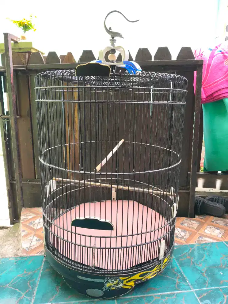 Kandang murai no 2