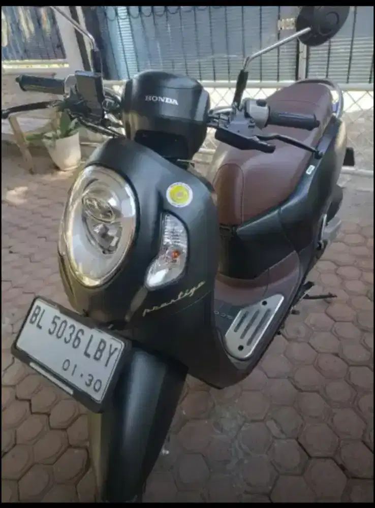 Scoopy th 2024/2025(oddo 6000an) lake New