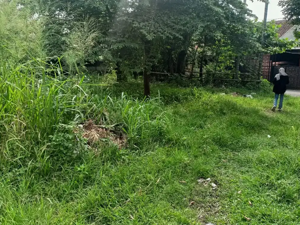 3 Unit Kavling Eksklusif Di Ciomas Rahayu Lokasi Strategis 15 Menit Stasiun Bogor Legalitas SHM