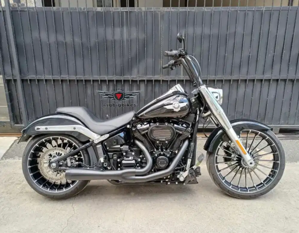 Halrey Softail Fatboy 2021